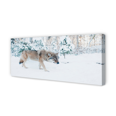 Tableaux sur toile canvas Loup forêt d'hiver