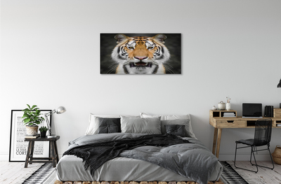 Tableaux sur toile canvas Tigre