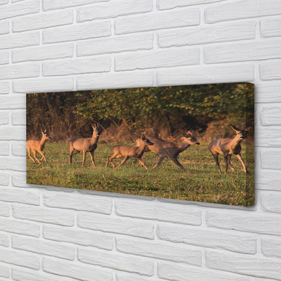 Tableaux sur toile canvas Sunrise golf cerf