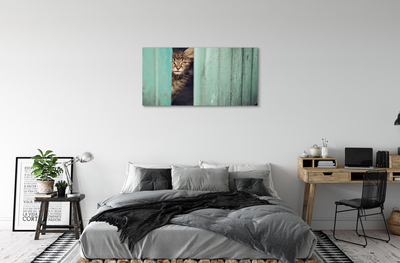 Tableaux sur toile canvas Cat zaglądający