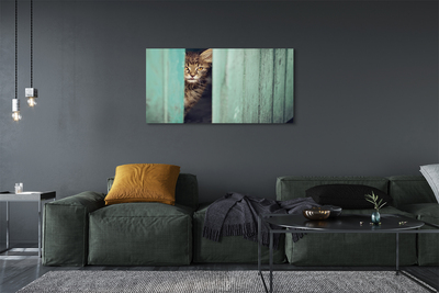 Tableaux sur toile canvas Cat zaglądający