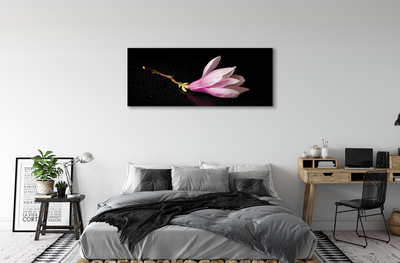 Tableaux sur toile canvas Eau de fleur