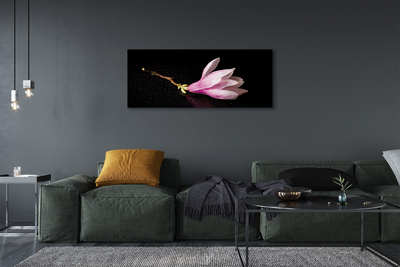 Tableaux sur toile canvas Eau de fleur