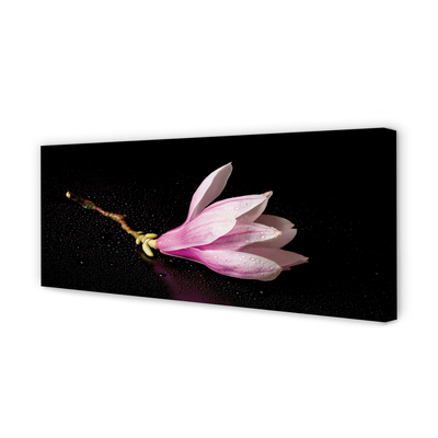 Tableaux sur toile canvas Eau de fleur