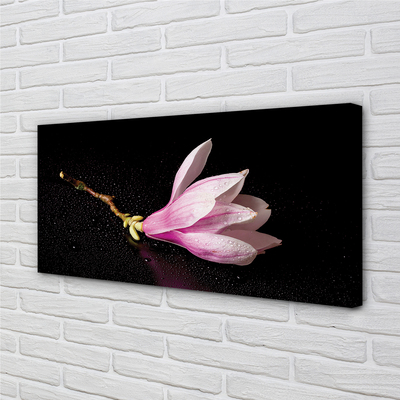 Tableaux sur toile canvas Eau de fleur