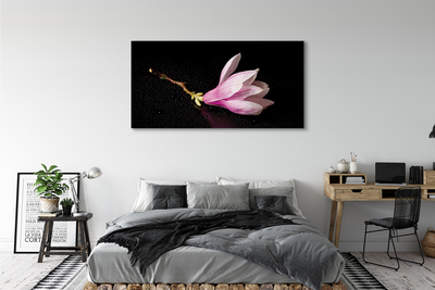 Tableaux sur toile canvas Eau de fleur