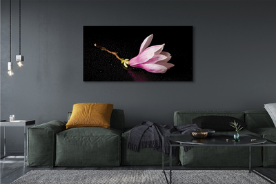 Tableaux sur toile canvas Eau de fleur