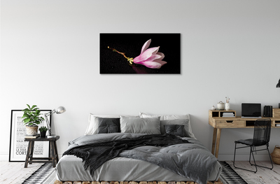 Tableaux sur toile canvas Eau de fleur