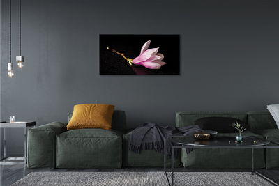 Tableaux sur toile canvas Eau de fleur