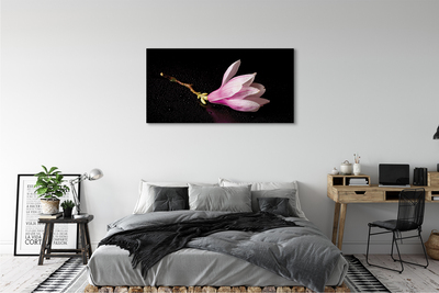 Tableaux sur toile canvas Eau de fleur