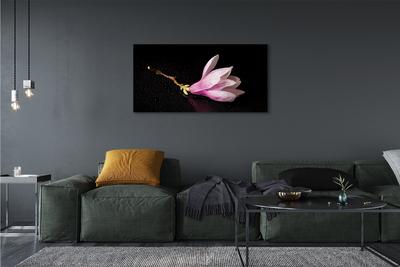 Tableaux sur toile canvas Eau de fleur