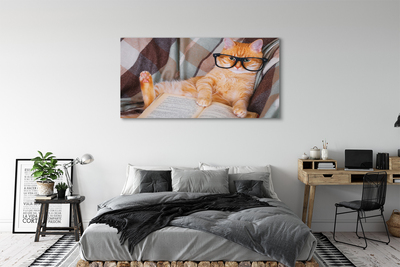 Tableaux sur toile canvas Le chat de lecteur