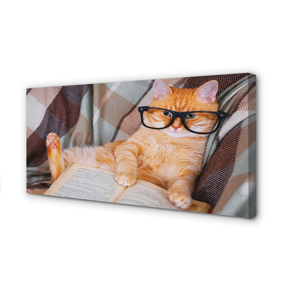Tableaux sur toile canvas Le chat de lecteur