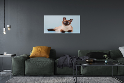 Tableaux sur toile canvas Chat couché