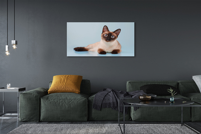 Tableaux sur toile canvas Chat couché