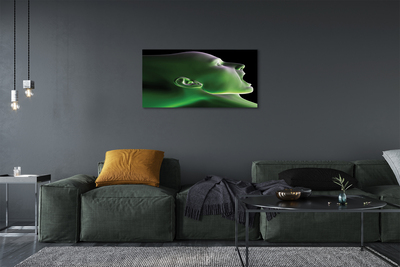 Tableaux sur toile canvas L'homme tête lumière verte