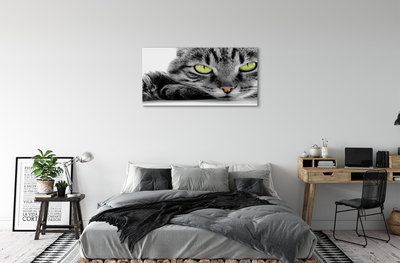 Tableaux sur toile canvas Chat gris-noir