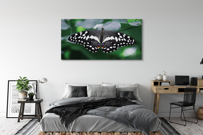 Tableaux sur toile canvas Feuilles de papillon coloré