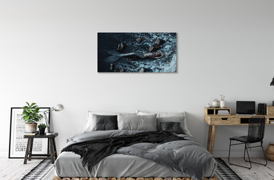 Tableaux sur toile canvas Sirène de la mer