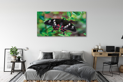 Tableaux sur toile canvas Feuilles papillon coloré