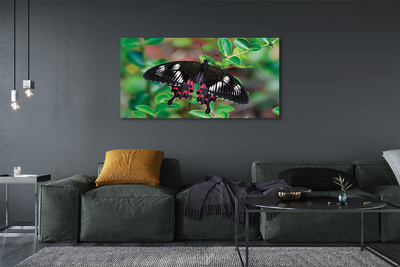Tableaux sur toile canvas Feuilles papillon coloré