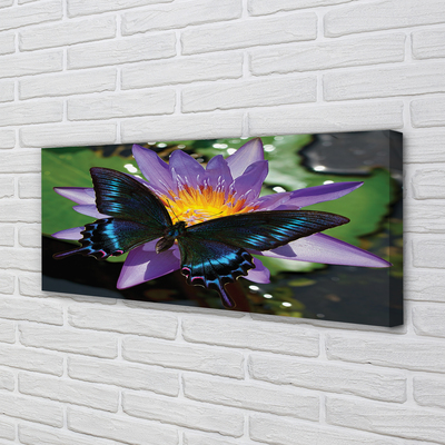 Tableaux sur toile canvas Fleur papillon