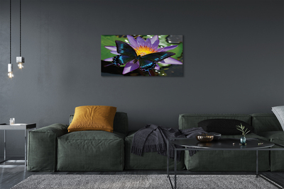 Tableaux sur toile canvas Fleur papillon
