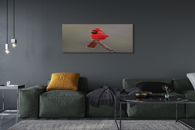 Tableaux sur toile canvas Perroquet rouge sur une branche