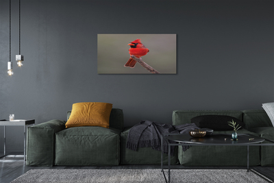 Tableaux sur toile canvas Perroquet rouge sur une branche