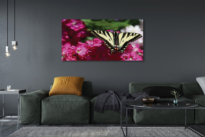 Tableaux sur toile canvas Papillon fleurs