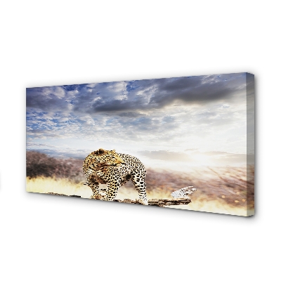 Tableaux sur toile canvas Nuages ​​panther