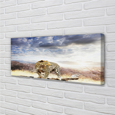 Tableaux sur toile canvas Nuages ​​panther