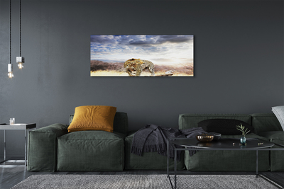 Tableaux sur toile canvas Nuages ​​panther