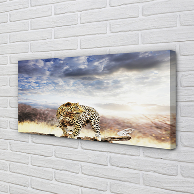 Tableaux sur toile canvas Nuages ​​panther