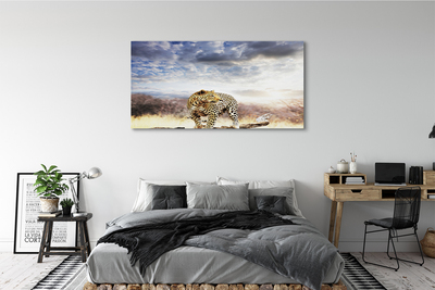 Tableaux sur toile canvas Nuages ​​panther