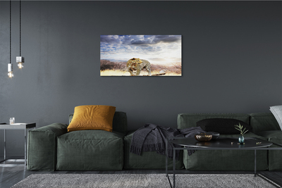 Tableaux sur toile canvas Nuages ​​panther