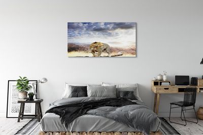 Tableaux sur toile canvas Nuages ​​panther