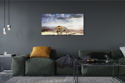 Tableaux sur toile canvas Nuages ​​panther