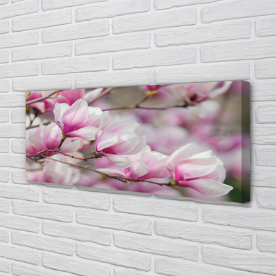 Tableaux sur toile canvas Fleurs d'arbres