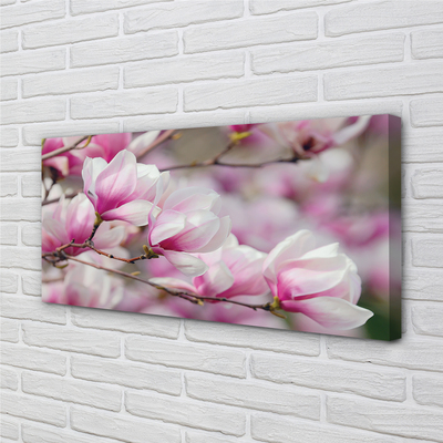 Tableaux sur toile canvas Fleurs d'arbres