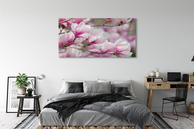 Tableaux sur toile canvas Fleurs d'arbres