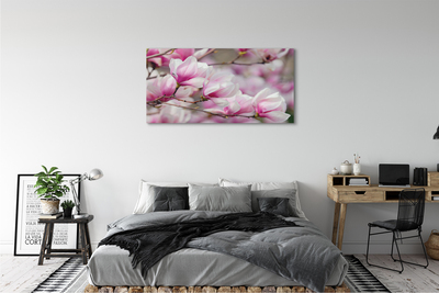 Tableaux sur toile canvas Fleurs d'arbres
