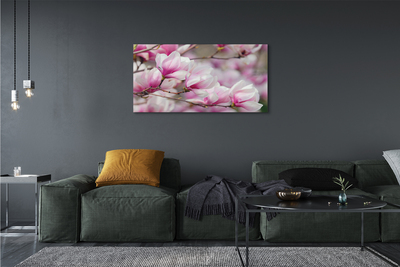 Tableaux sur toile canvas Fleurs d'arbres