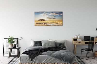 Tableaux sur toile canvas Arbre de nuages ​​zebra