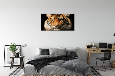 Tableaux sur toile canvas Tigre