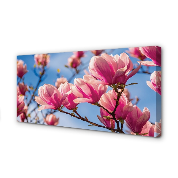 Tableaux sur toile canvas Fleurs d'arbres