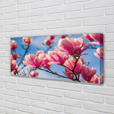 Tableaux sur toile canvas Fleurs d'arbres