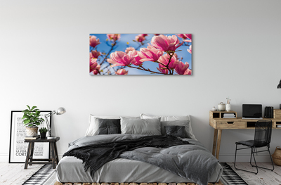 Tableaux sur toile canvas Fleurs d'arbres