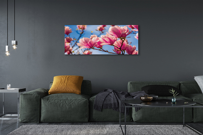 Tableaux sur toile canvas Fleurs d'arbres