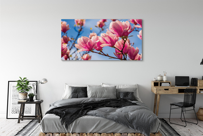 Tableaux sur toile canvas Fleurs d'arbres